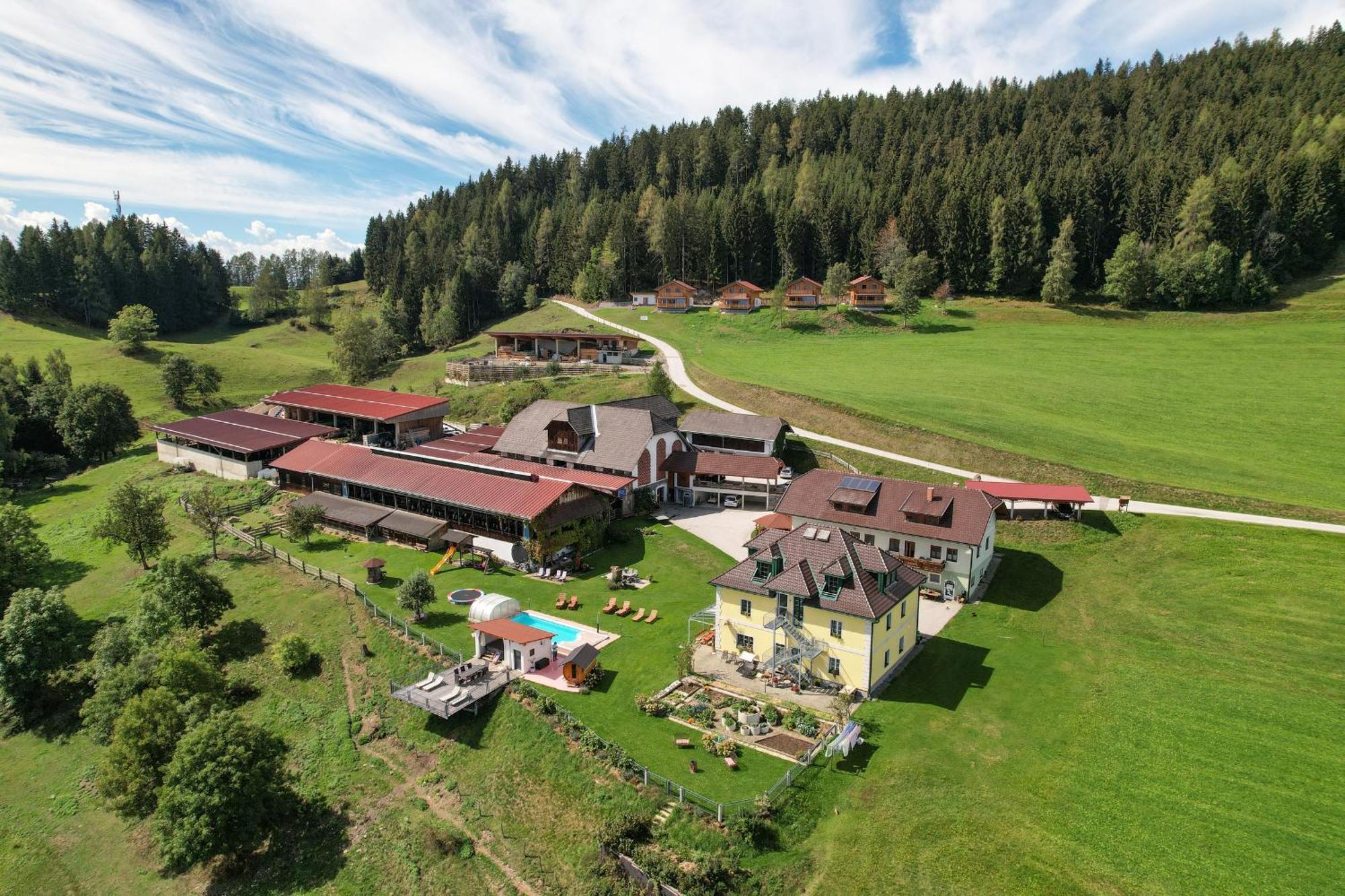 Hochleben-Chalets Am Erlebnisbauernhof Steinerhof Liebenfels 외부 사진